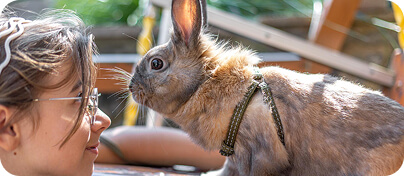 Kit válasszak melyik kisállat illik hozzám