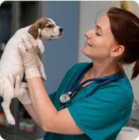 Katona Ramóna kisállatgyógyász szakállatorvos