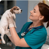 Katona Ramóna kisállatgyógyász szakállatorvos